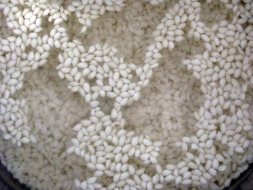 Rice cooking for Champorado