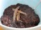 Champorado, Filipino chocolate&nbsp;rice