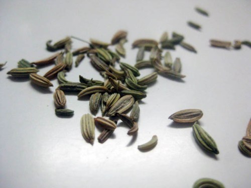 fennel seeds