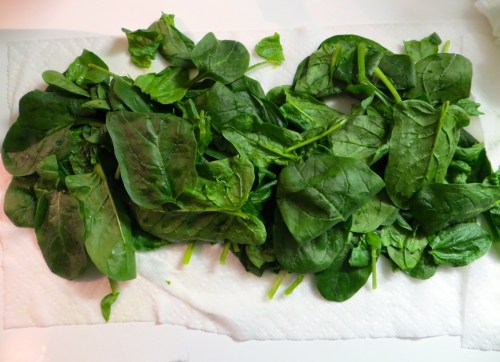 Spinach, washed and drying