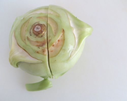 Kohlrabi