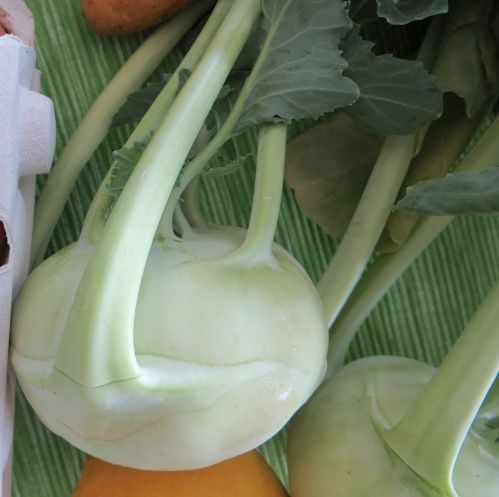 Kohlrabi (German turnip)