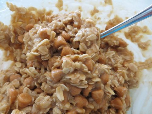 Brianne's oatmeal butterscotch cookies