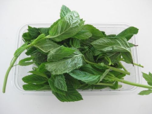 These are not oregano leaves or marjoram leaves. What are they?