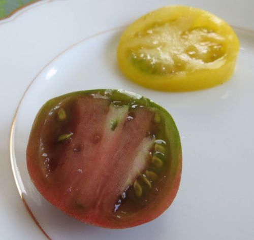 A Carbon tomato and a slice of the beautiful yellow Golden Queen