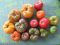heirloom-tomatoes